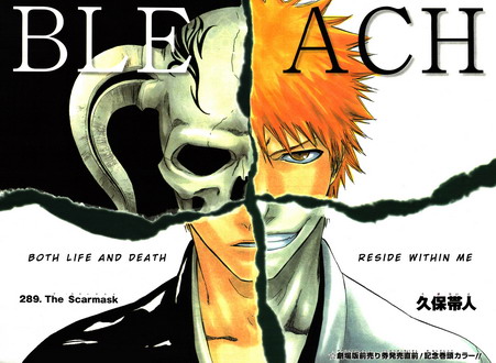 bleach-289