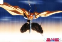 bleach-30